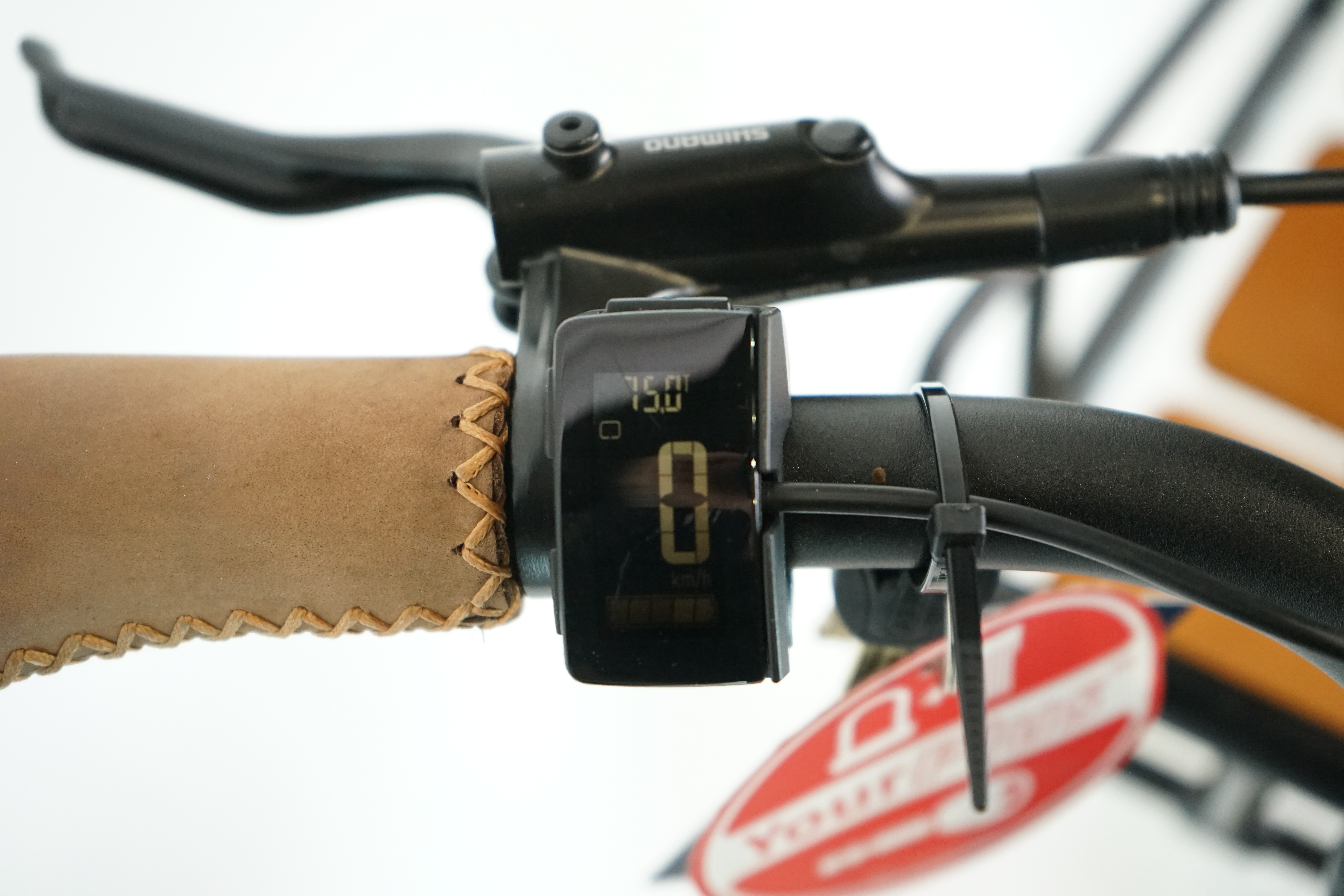 Bulls Sturmvogel EVO 5F Belt 2022 - City E Bike - 750 Wh - Tiefeinsteiger