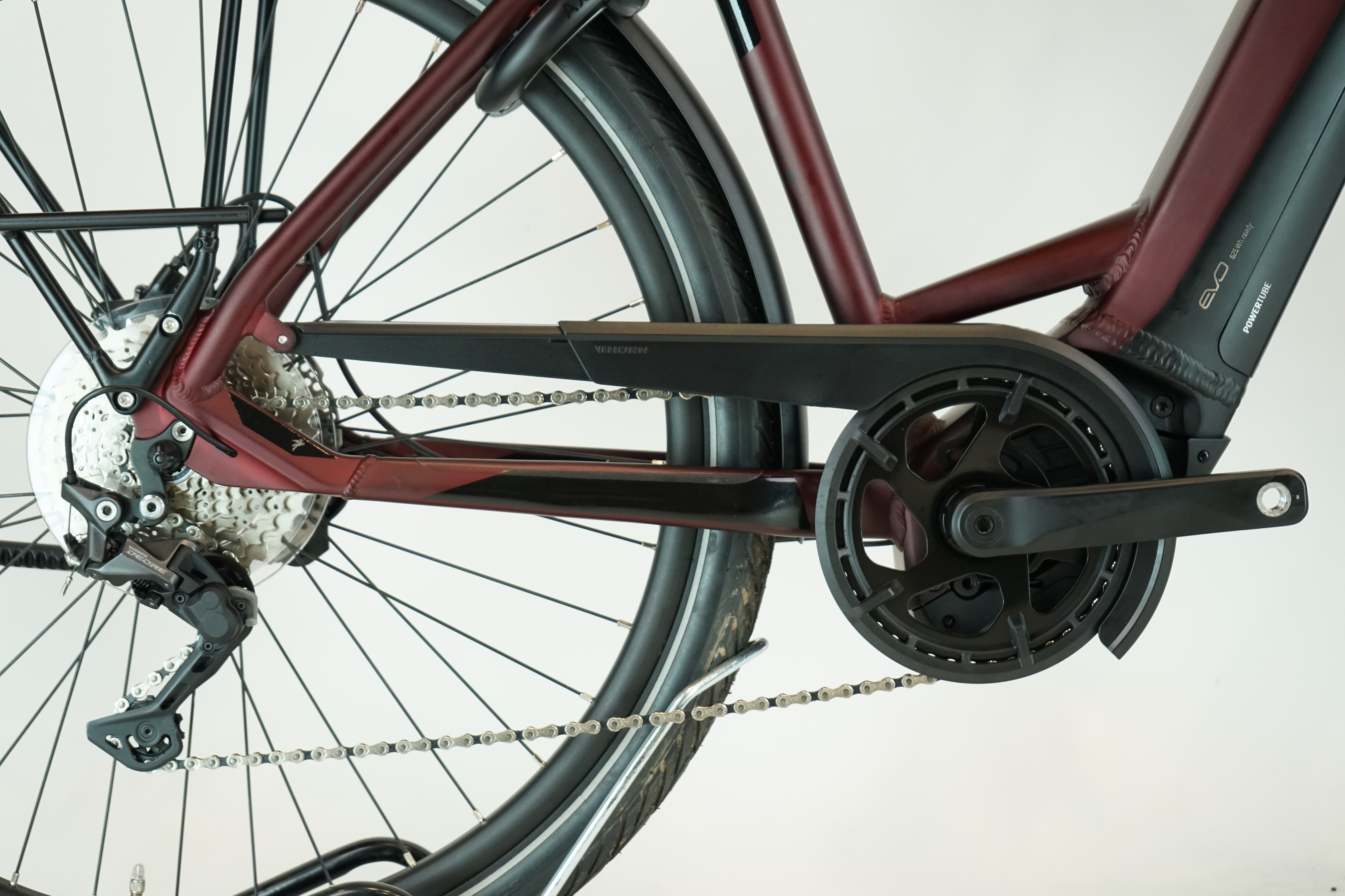 PEGASUS Strong EVO 10 Lite 2022 - Trekking E Bike - 625Wh - Tiefeinsteiger