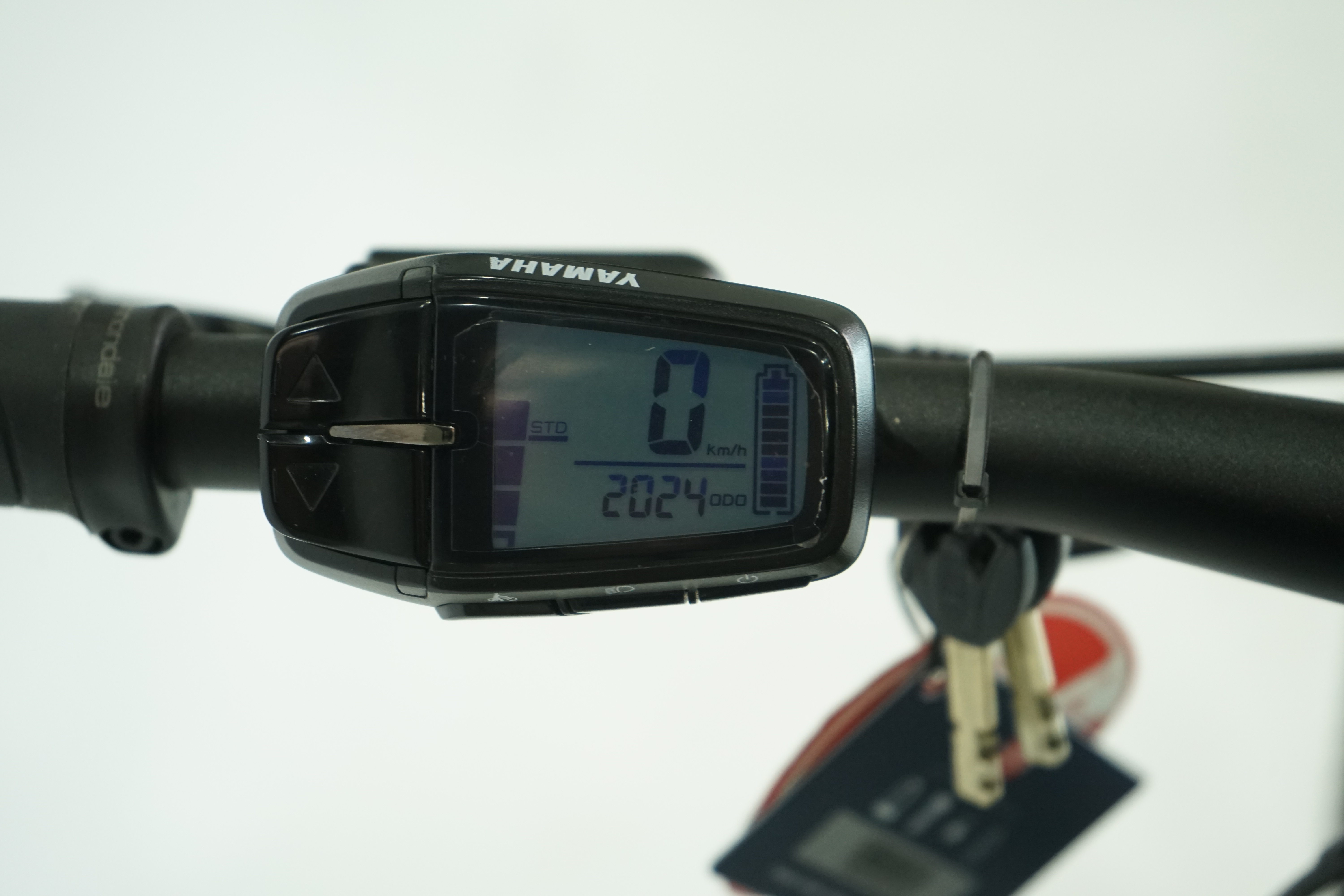 Raymon Hardray 29 E 7.0 2021 - E Mountainbike  - 500 Wh - 29 Zoll