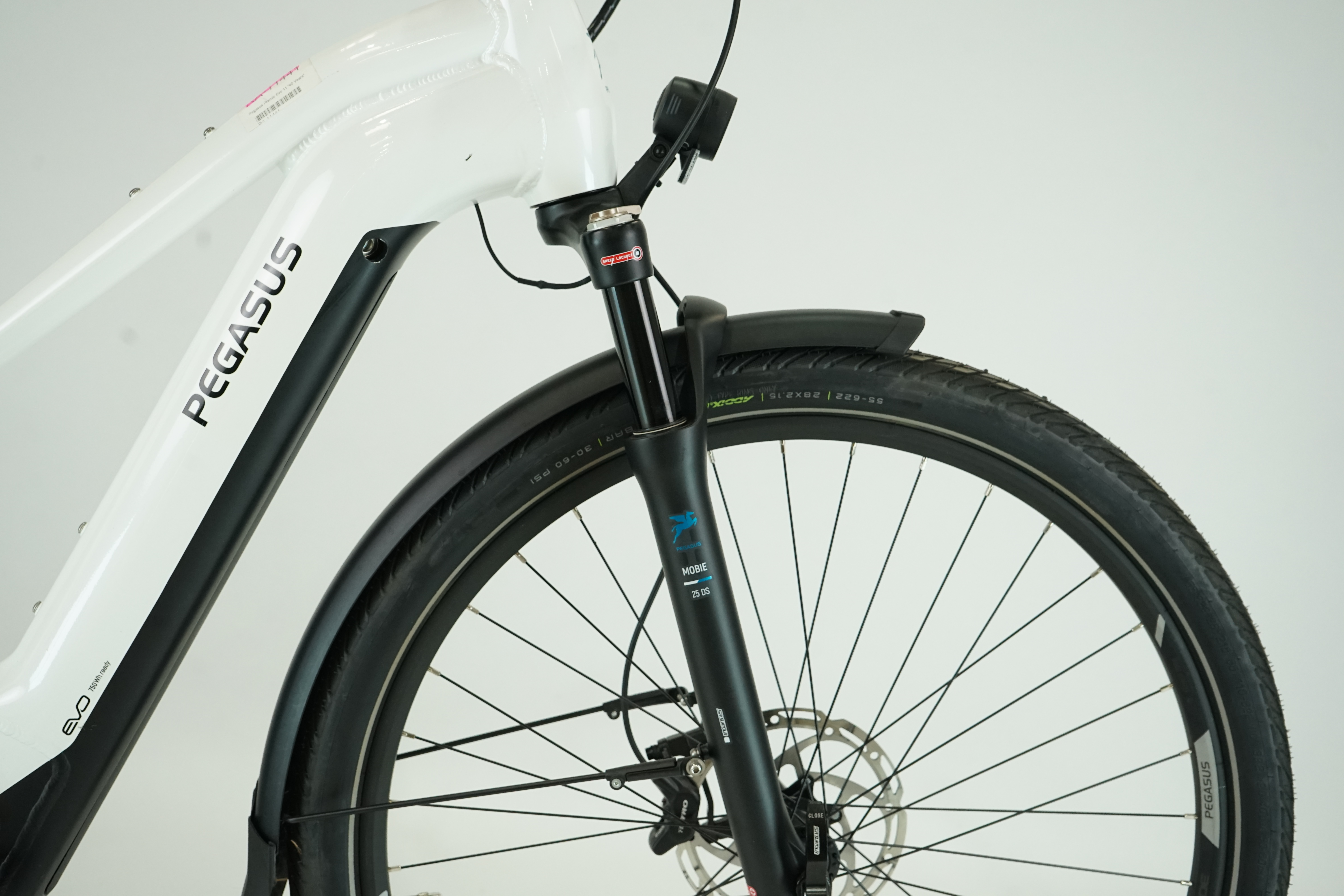 PEGASUS Premio Evo 11 "40 Years" 2022 - 750 Wh - Damen Sport - 28 Zoll