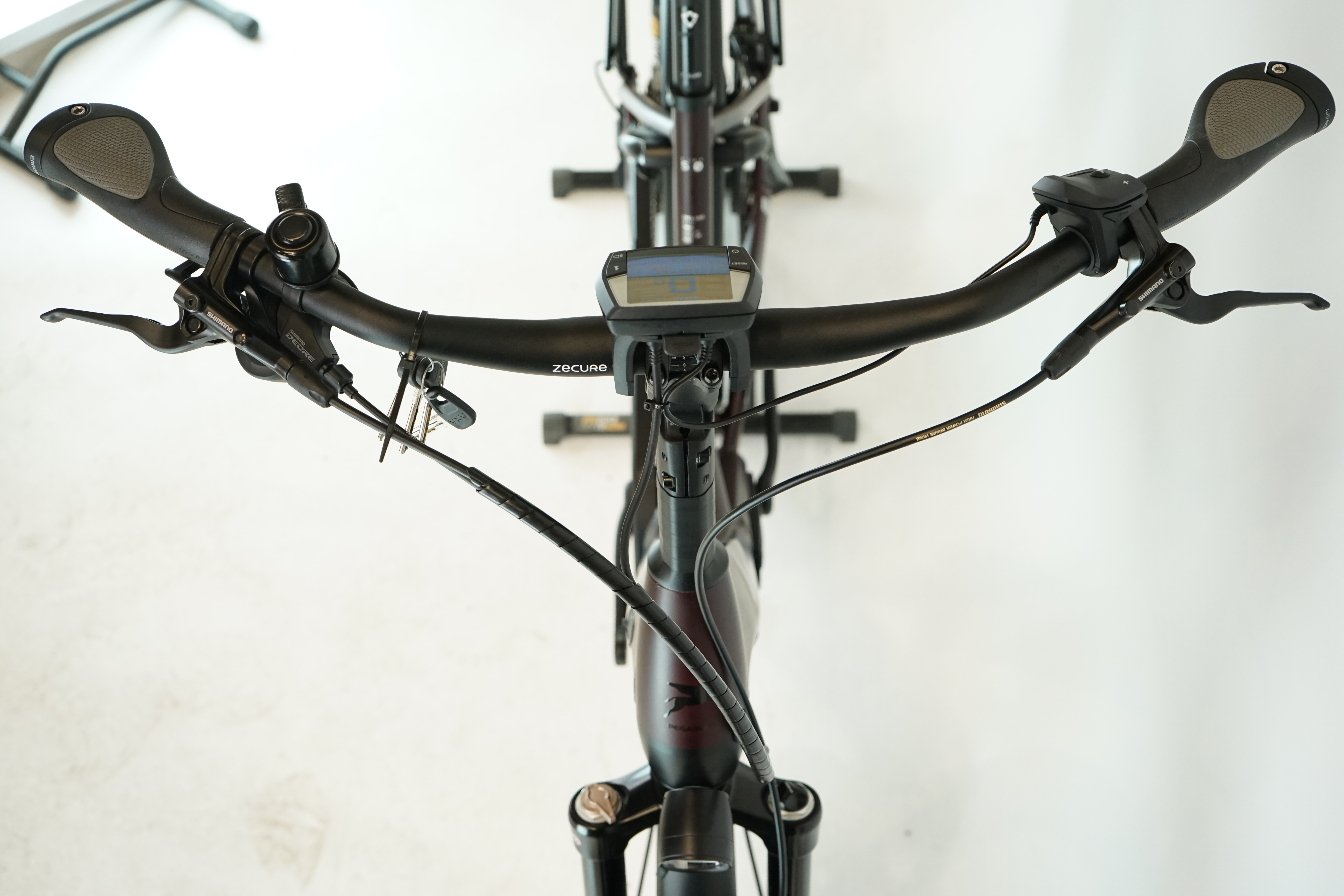 PEGASUS Strong EVO 10 Lite 2022 - Trekking E Bike - 625Wh - Tiefeinsteiger