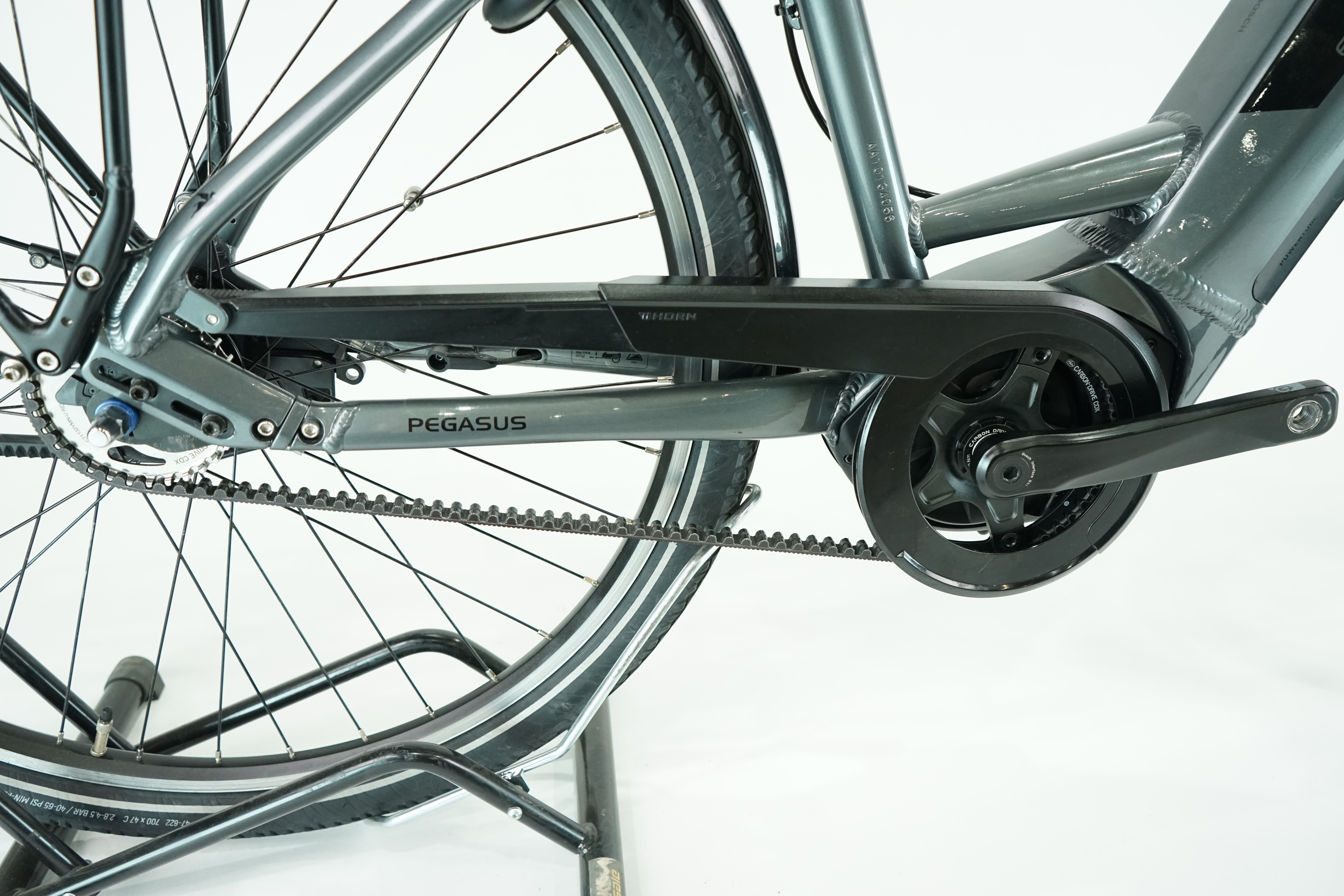 PEGASUS Premio EVO 5F Belt