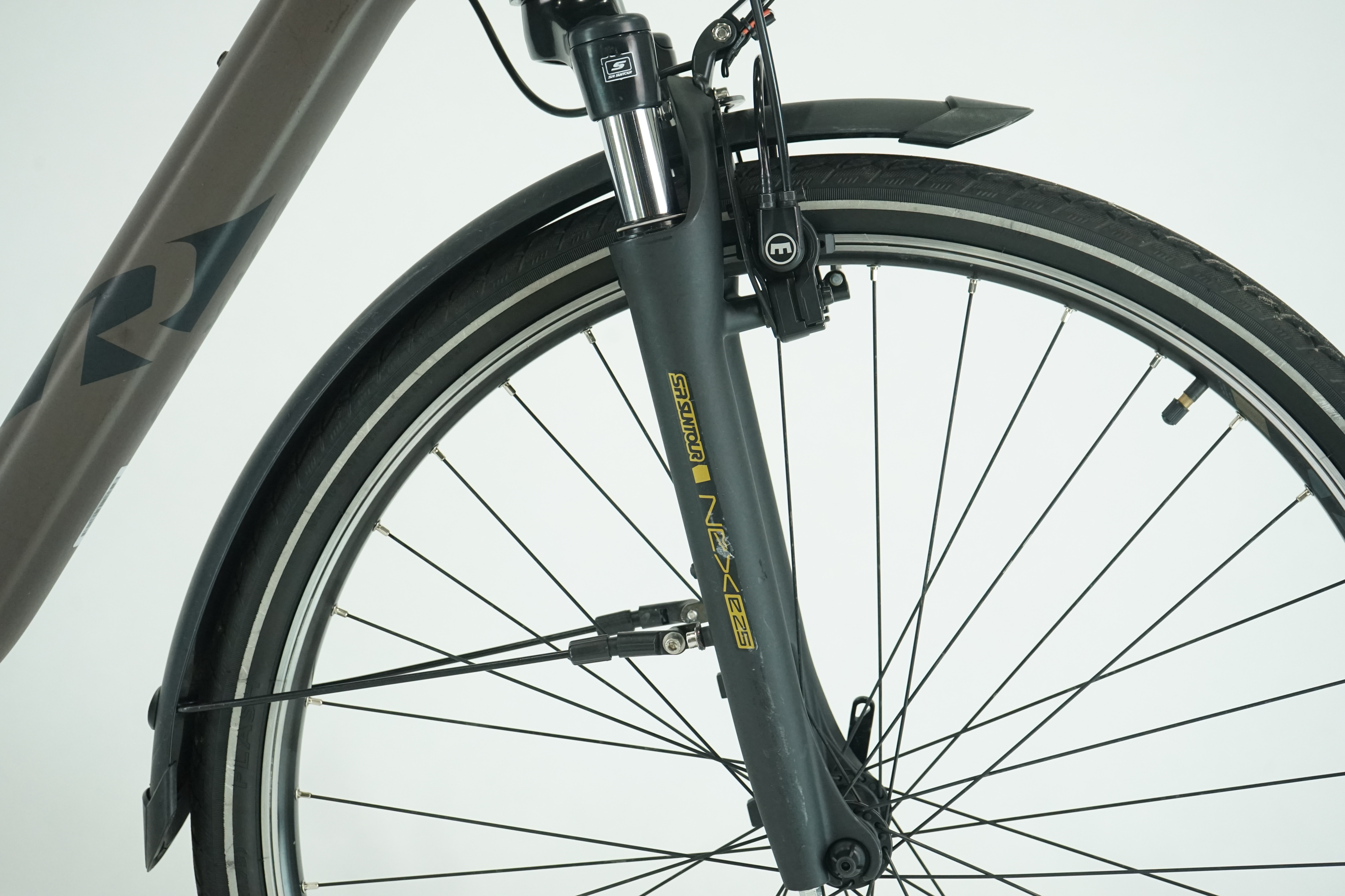 Raymon CityRay E 2.0 2023 - City E Bike - 500 Wh - Rücktritt - Tiefeinsteiger 