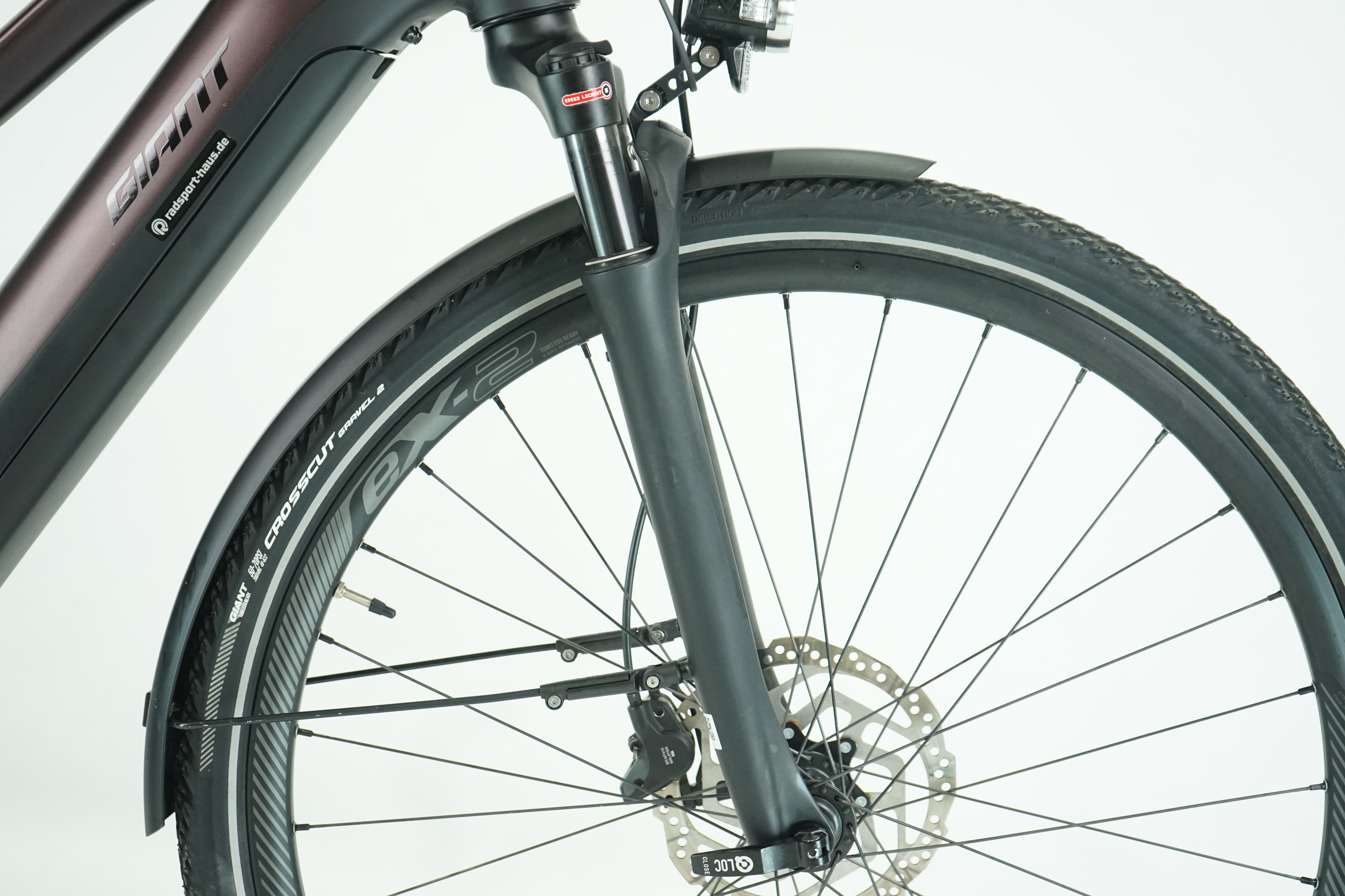 Giant Explore E+ Pro 1 STA  2021 - Trekking E Bike - 620 Wh - Damen Sport