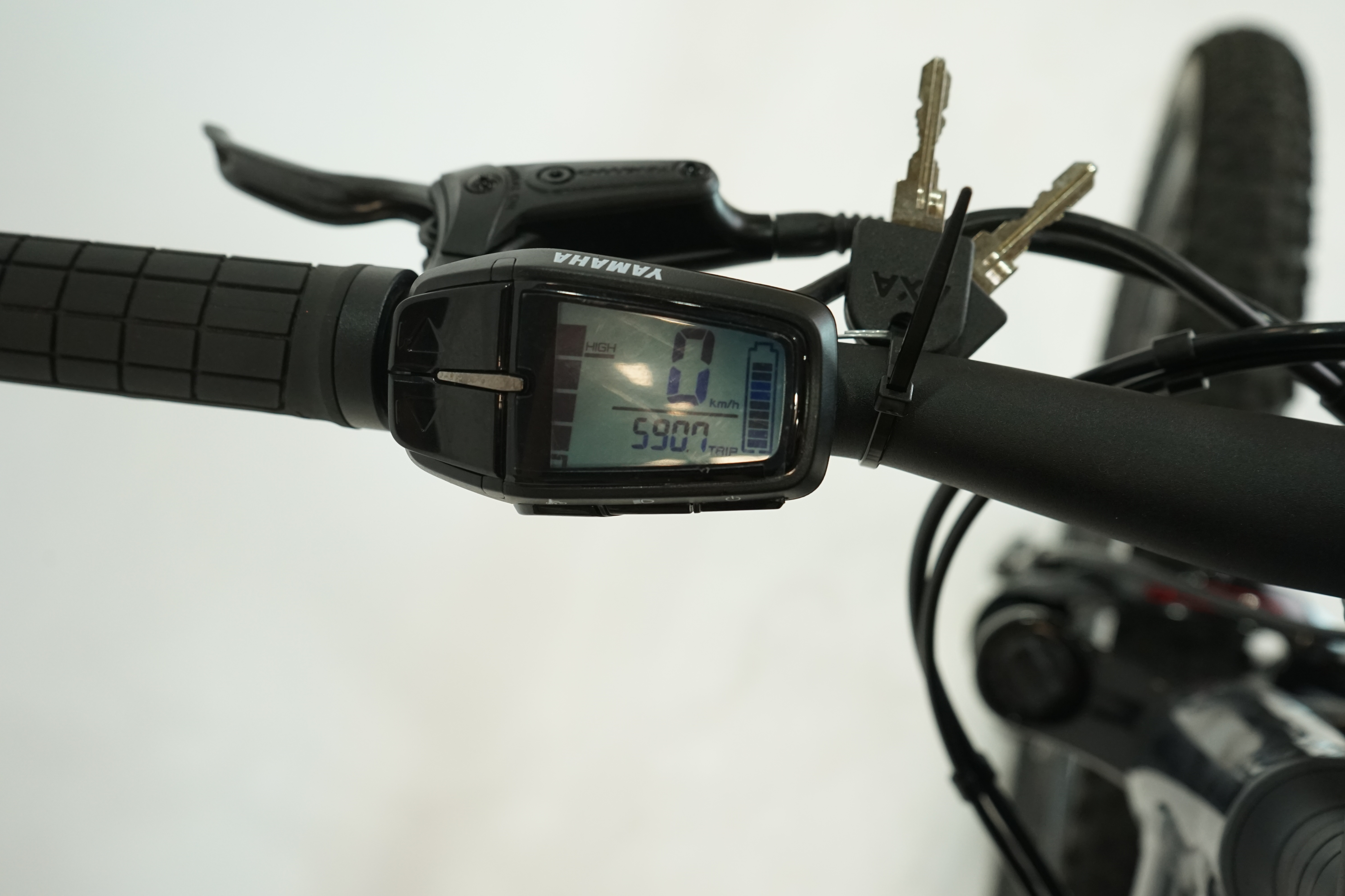 Raymon HardRay E 3.0 2022 - E Mountainbike - 500 Wh - 29 Zoll