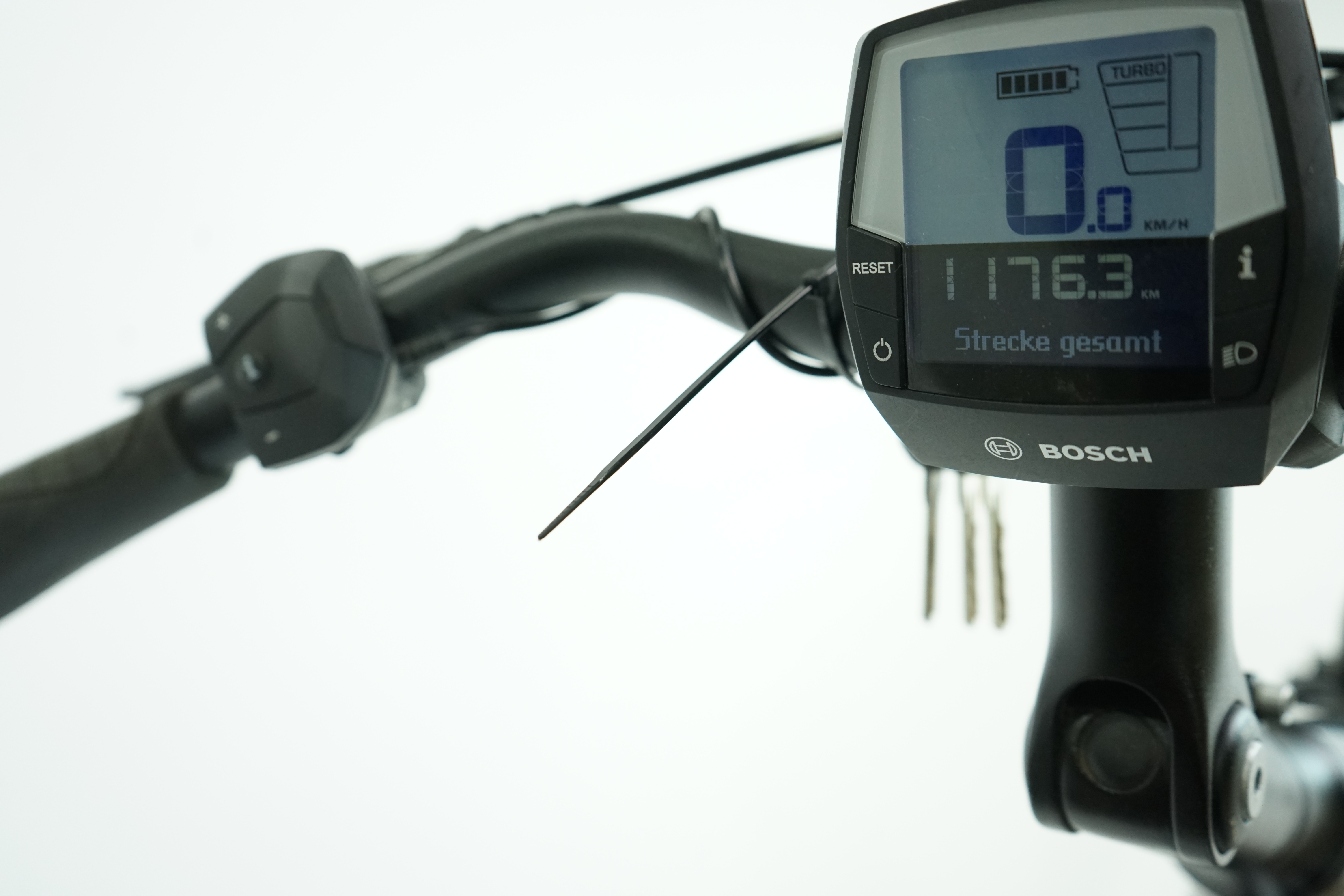 PEGASUS Premio EVO 5F Belt