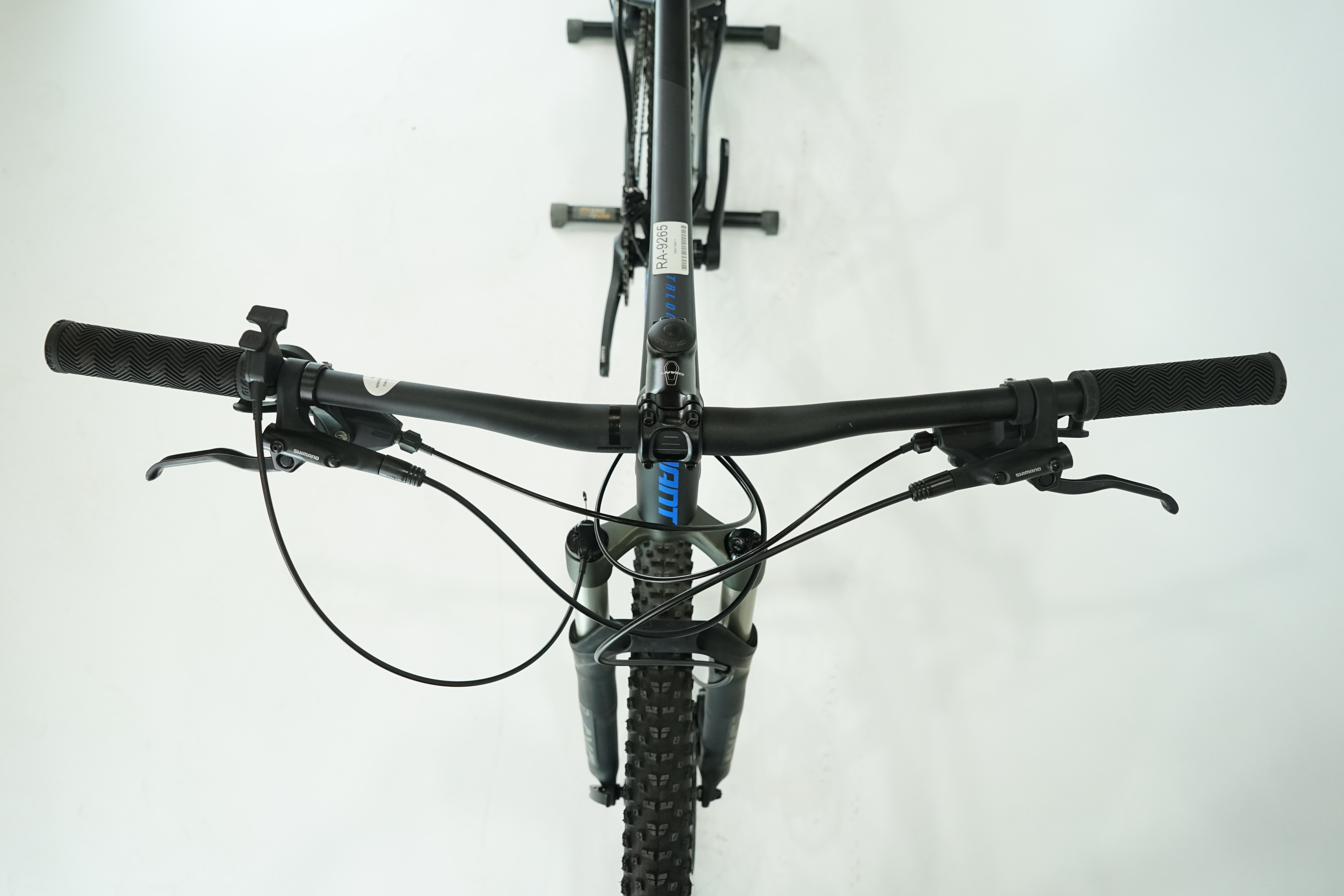 Giant Talon 1 2021 - Mountainbike - 29 Zoll - Aluminium - Hardtail