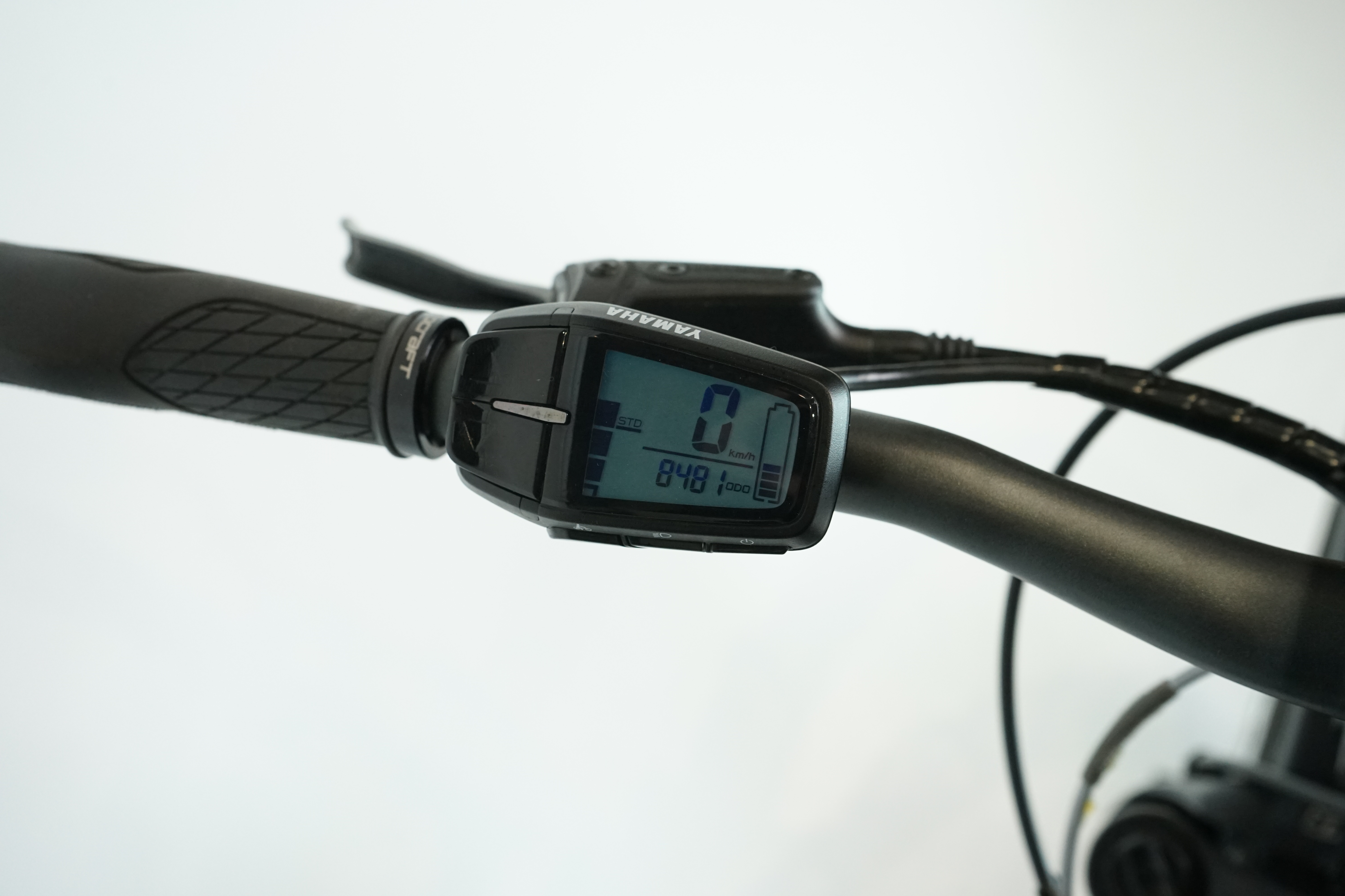 Raymon Tourray E 6.0 2020 - Trekking E Bike - 500 Wh - Diamant