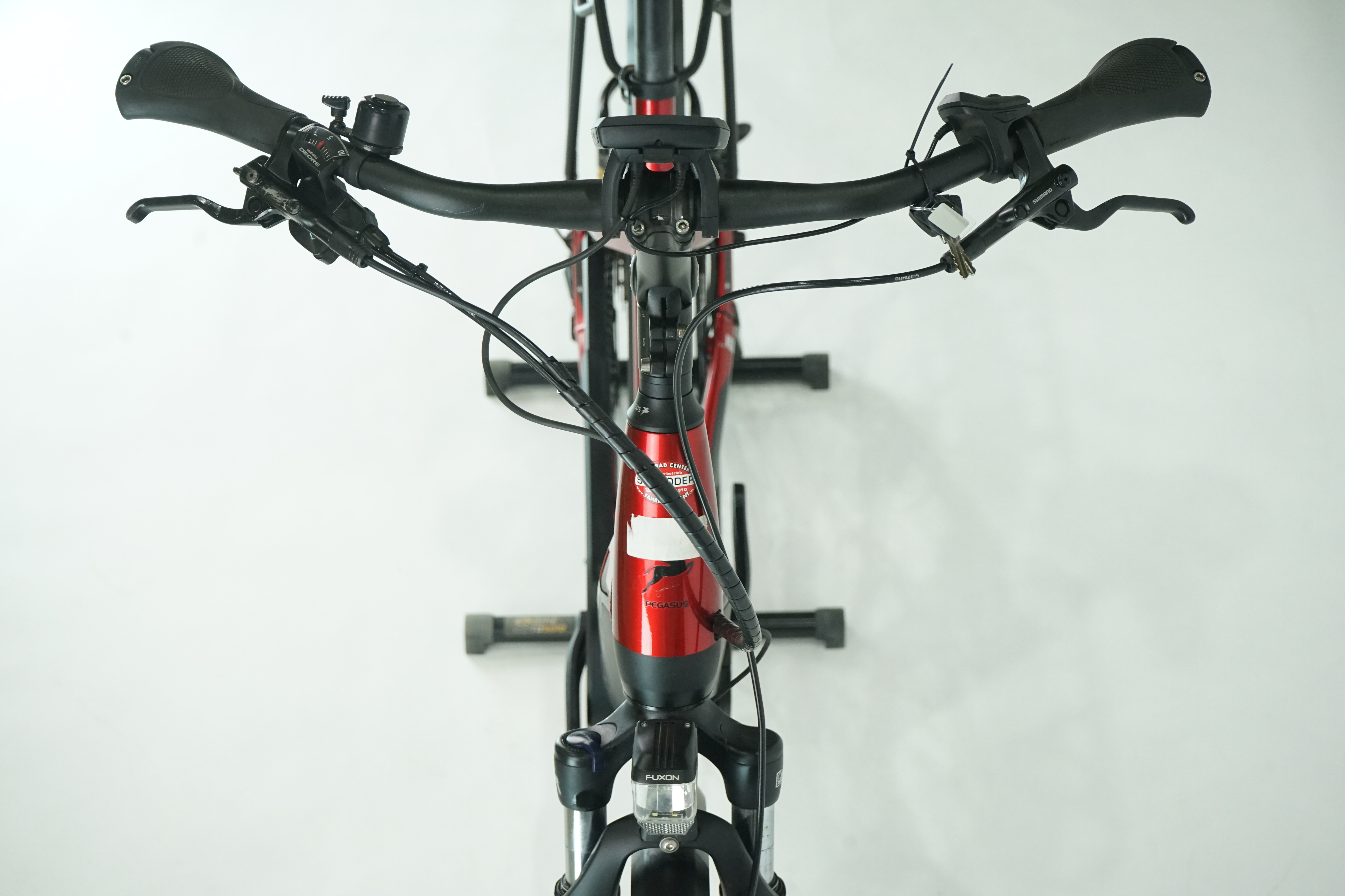 Pegasus Premio EVO 10 Lite 2020 - Trekking E Bike - 500 Wh - Tiefeinstieg