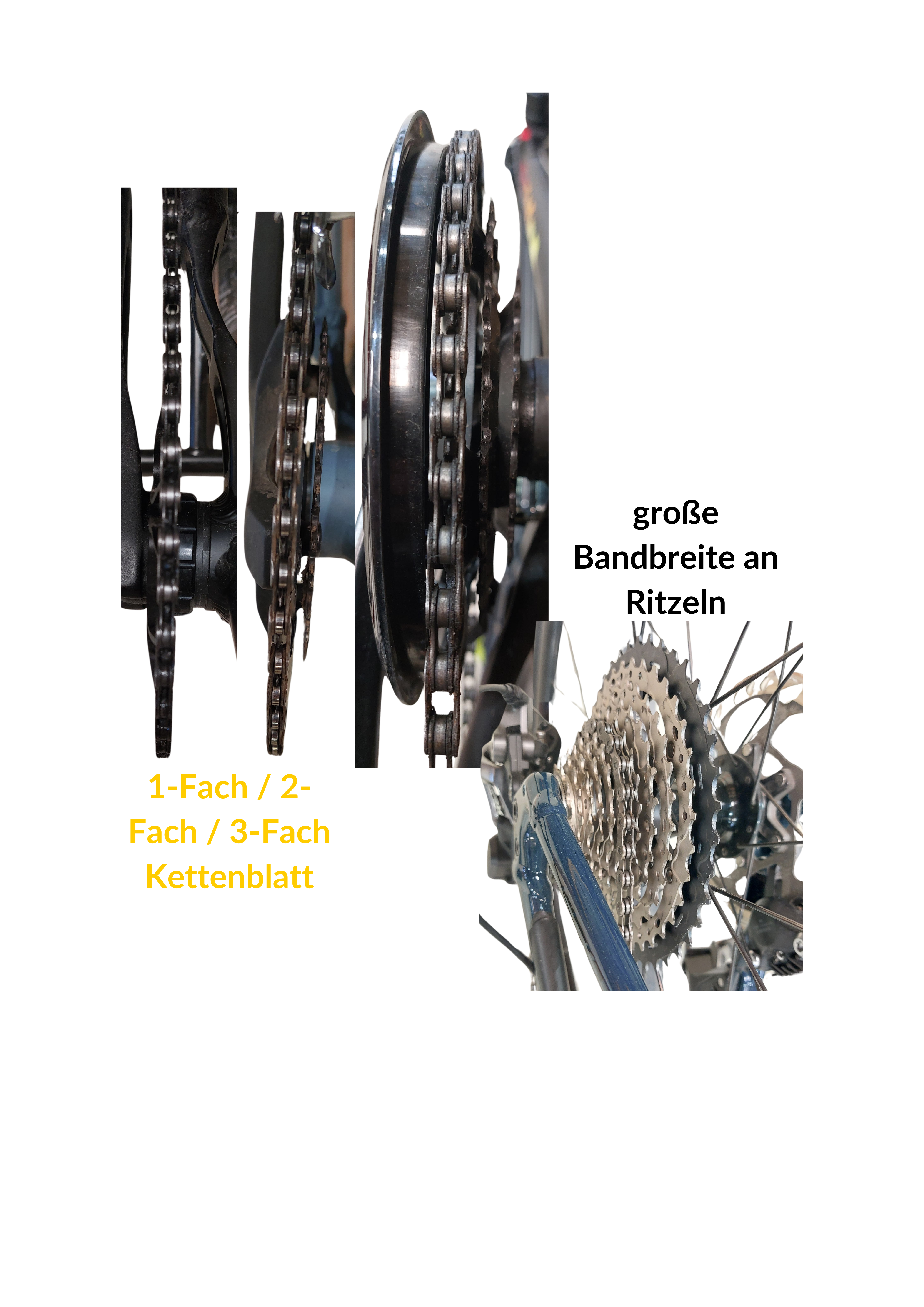 vergleich 1fach, 2 fach und 3 fach kettenschaltung sowie ritzelblockansicht foto: verschiedene schaltungsvarianten zur verdeutlichung der uebersetztung am fahrrad