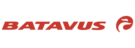 BATAVUS