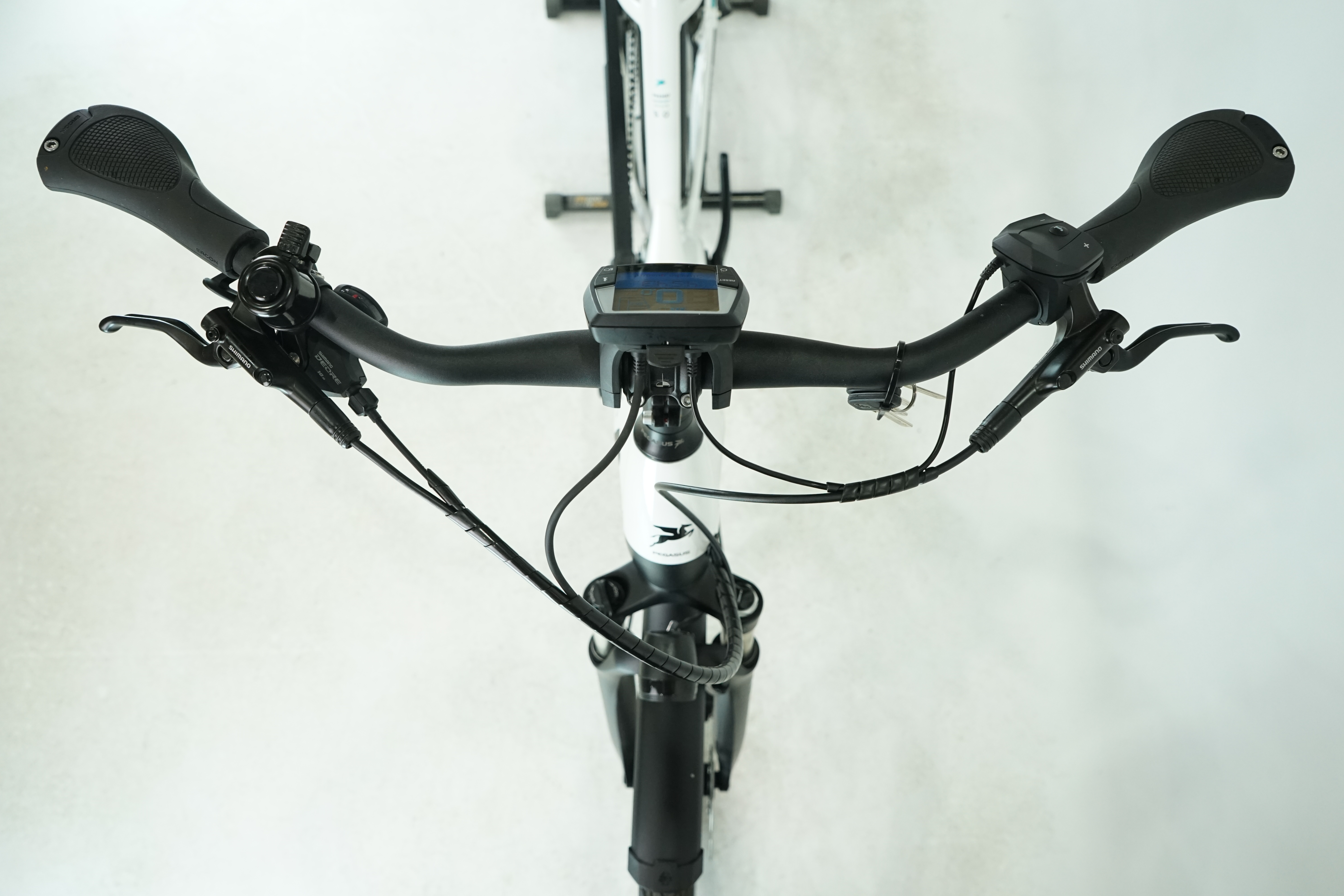 Pegasus Premio Evo 10 Lite 2022 - Trekking E Bike - 625 Wh - Tiefeinsteiger