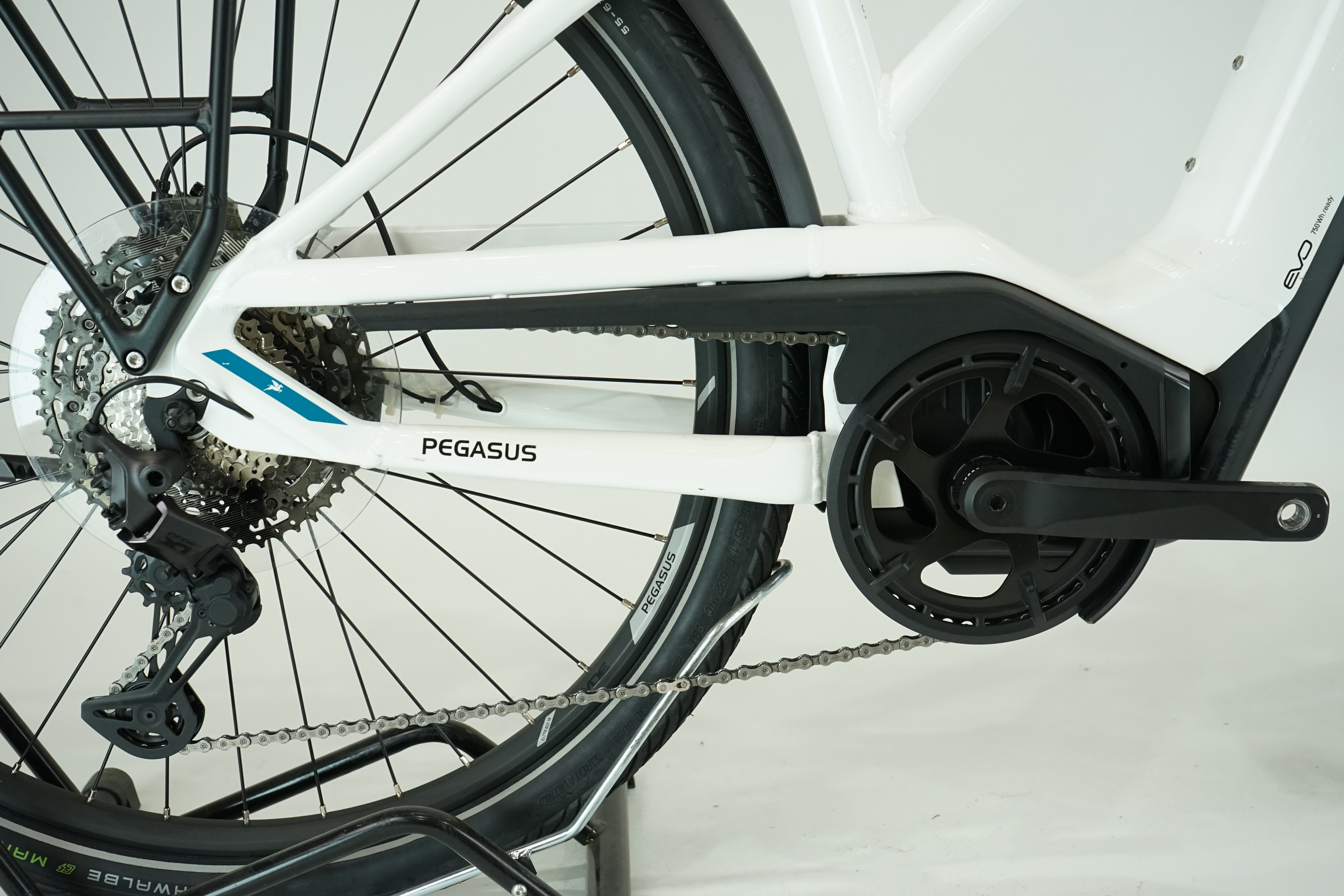 PEGASUS Premio Evo 11 "40 Years" 2022 - 750 Wh - Damen Sport - 28 Zoll
