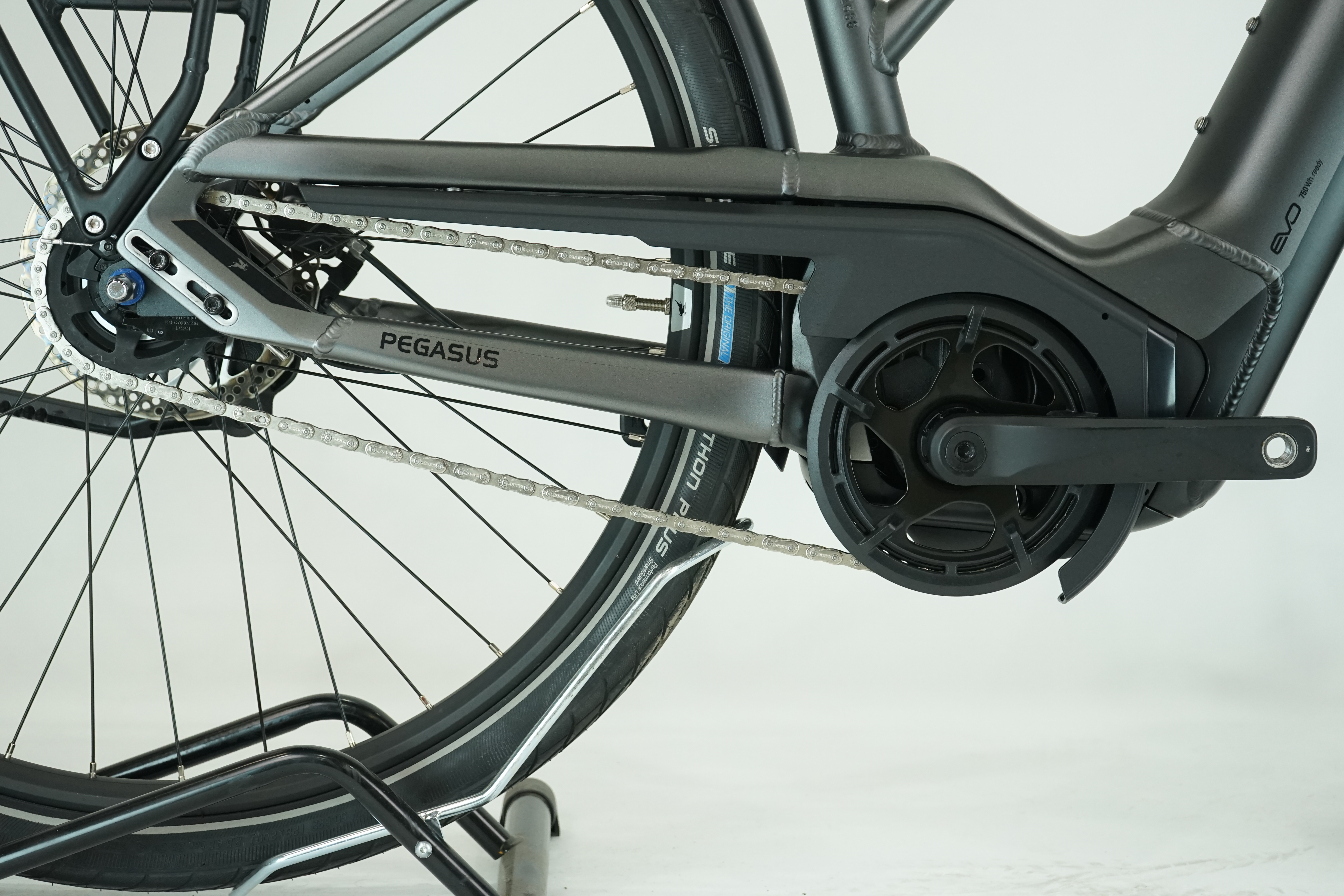 Pegasus Premio EVO 5F Lite 2023 - City E Bike - 750 Wh - Damen Sport