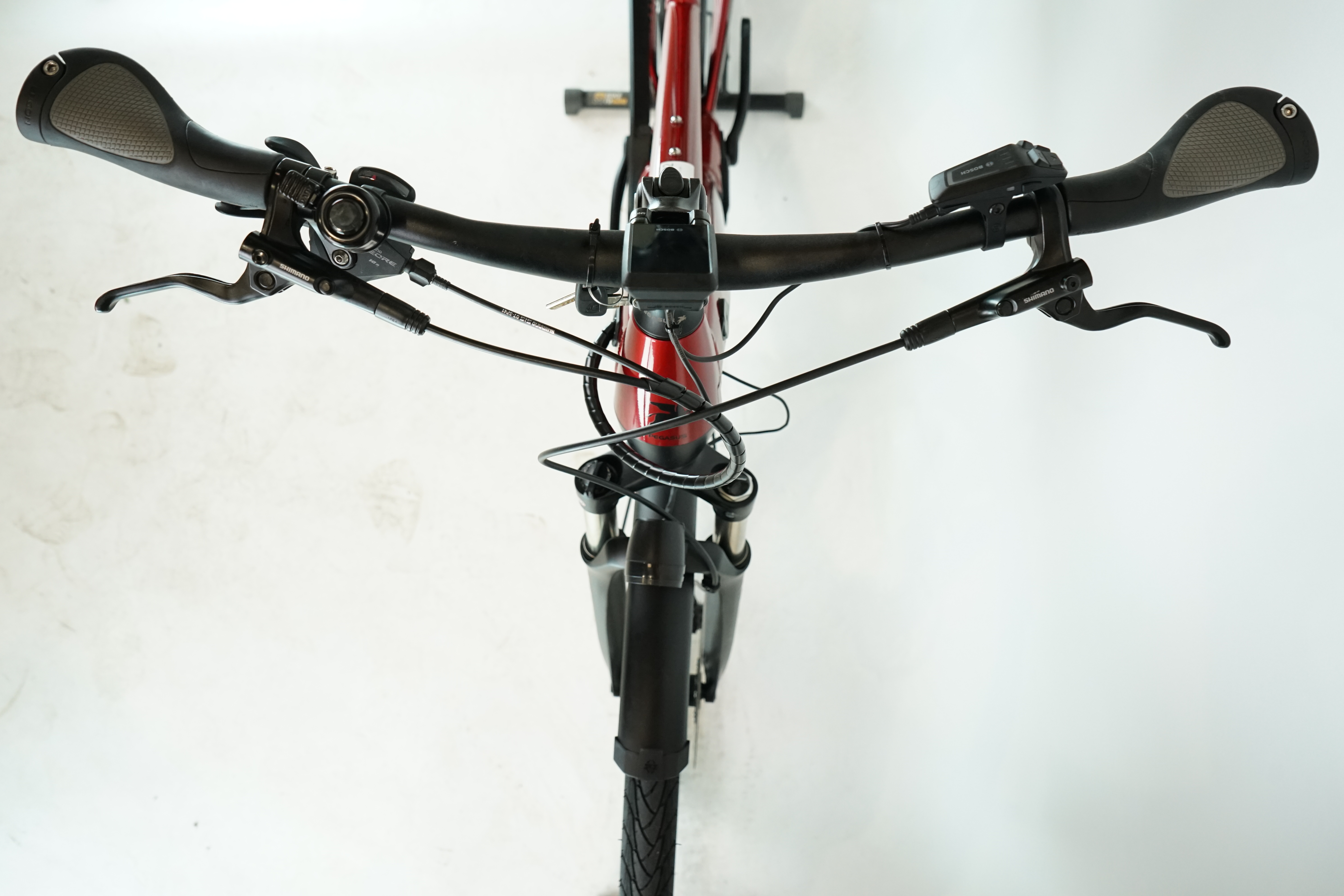 Pegasus Premio EVO 10 Lite 2023 - Trekking E Bike - 750 Wh - Damen Sport