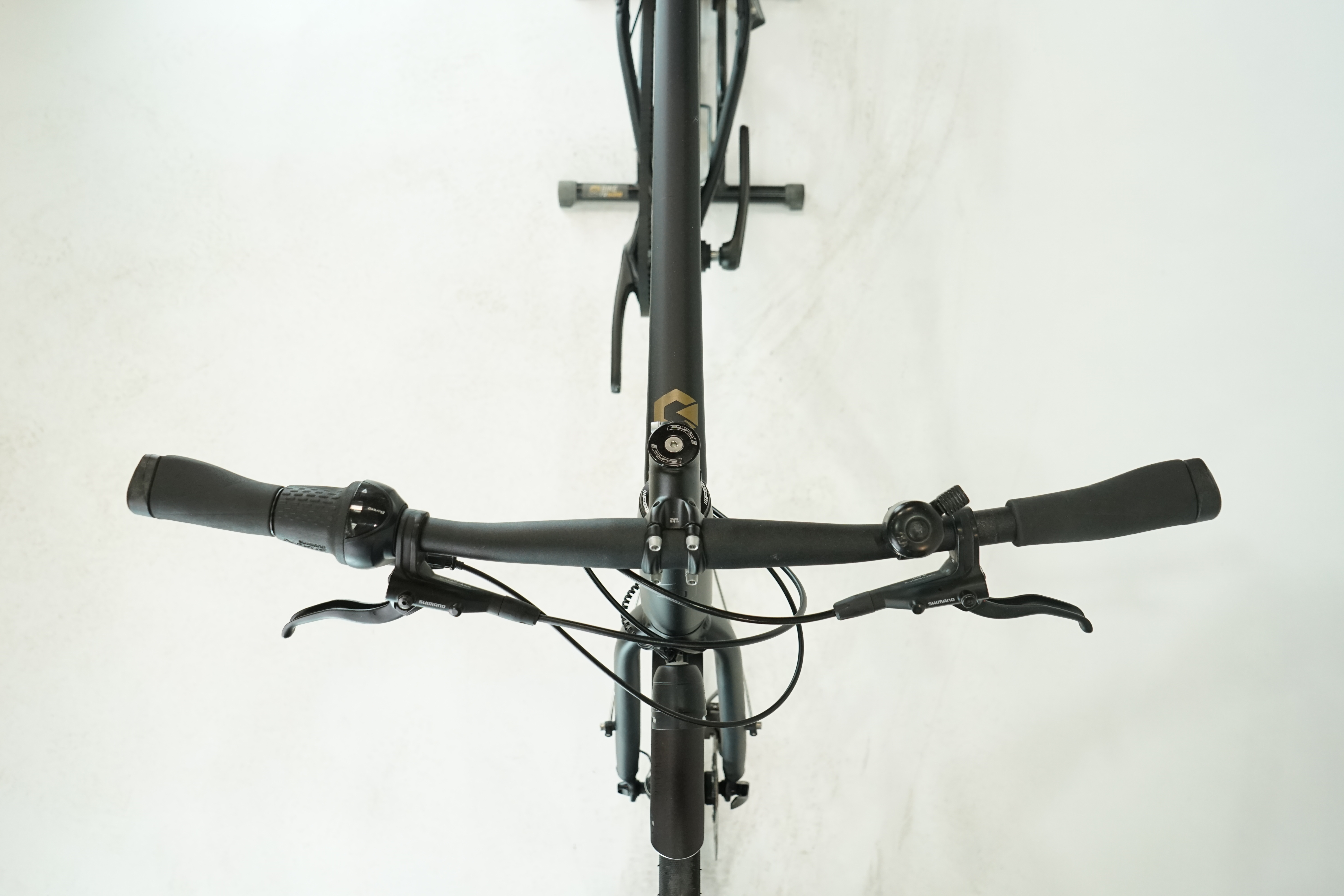 Rabeneick TX7 2020 - City Bike - Riemen - Diamant