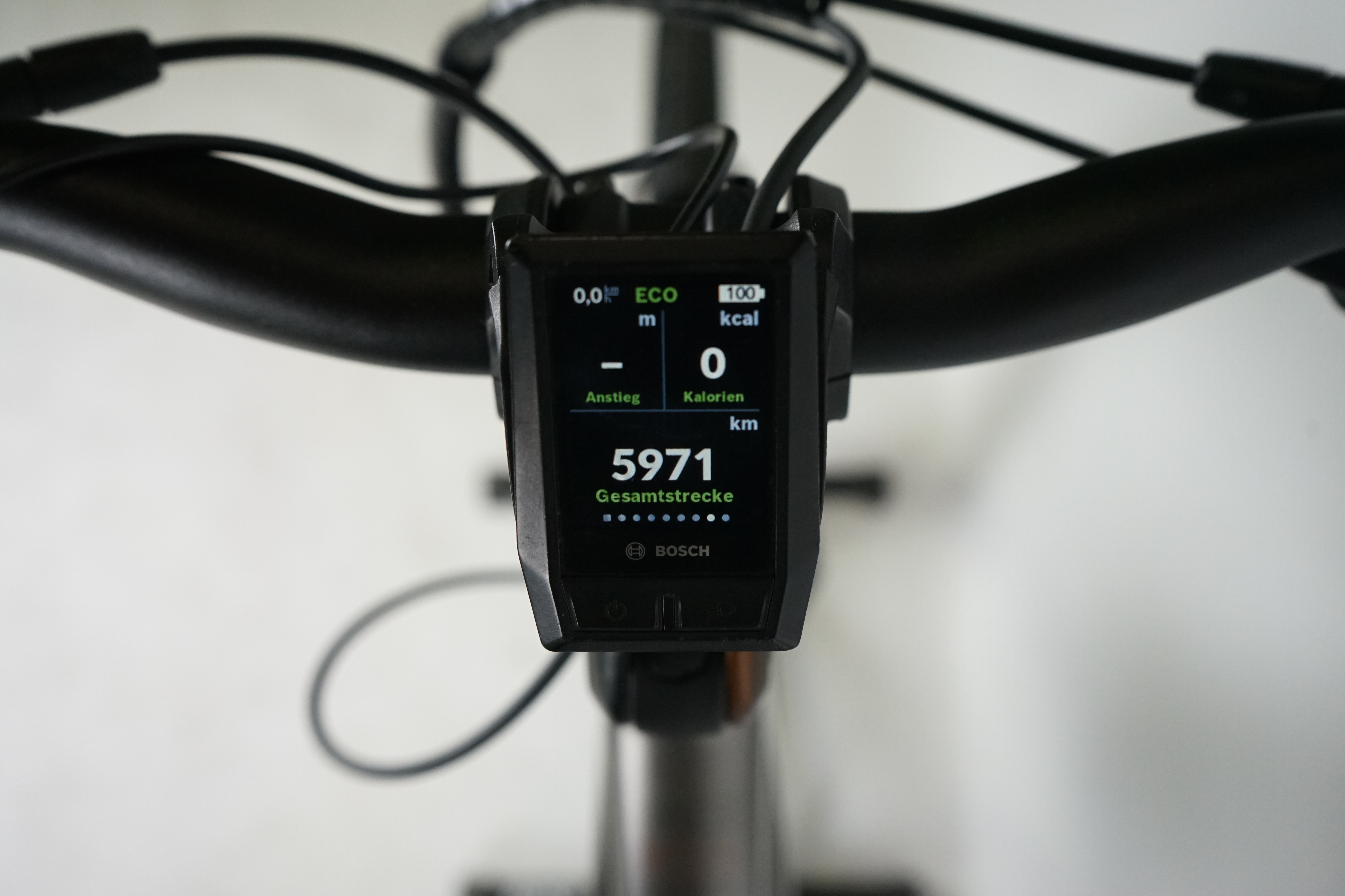 Koga Pace B05 Tokyo Edition 2022 - Trekking E Bike - Damen Sport