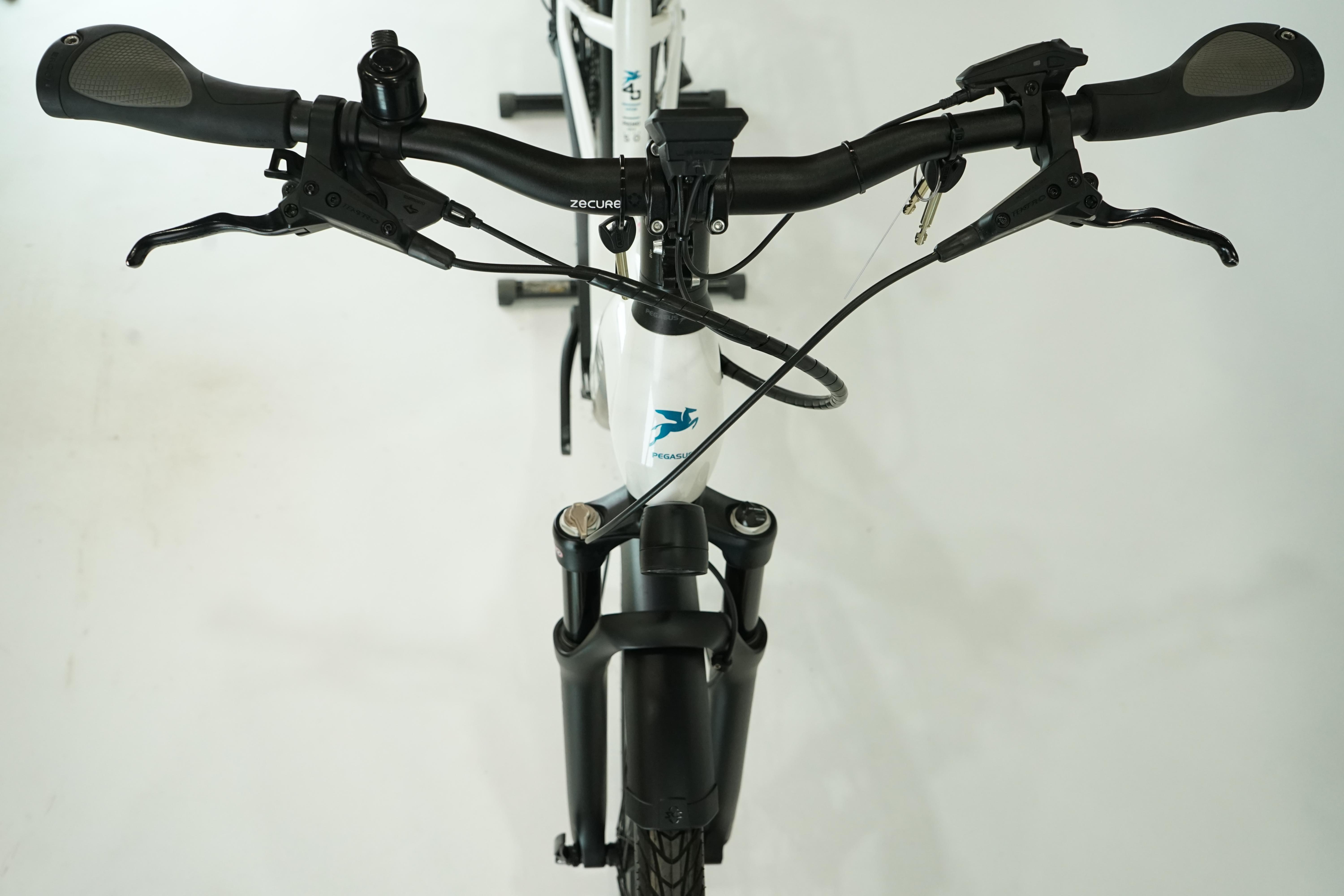 PEGASUS Premio Evo 11 "40 Years" 2022 - 750 Wh - Damen Sport - 28 Zoll